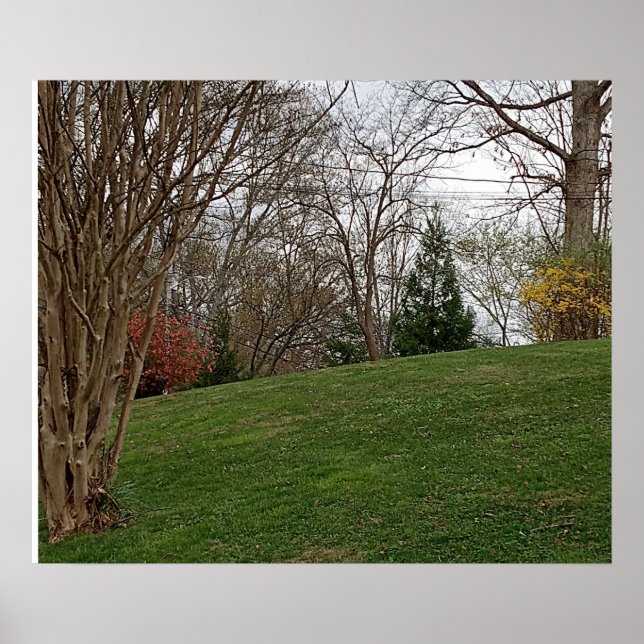 Póster Poster Landscape design  (Frente)