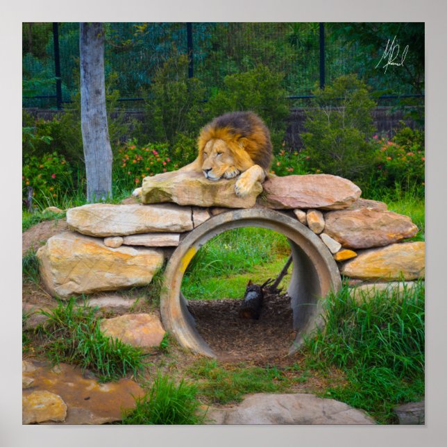 Póster Poster León Firmado (Frente)
