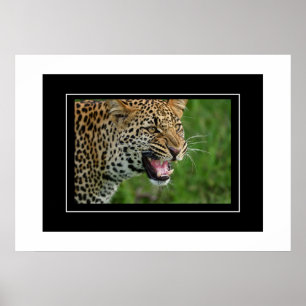 Póster Poster Leopard