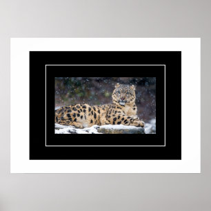 Póster Poster-Leopard