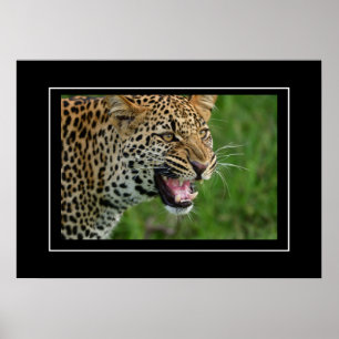 Póster Poster Leopard