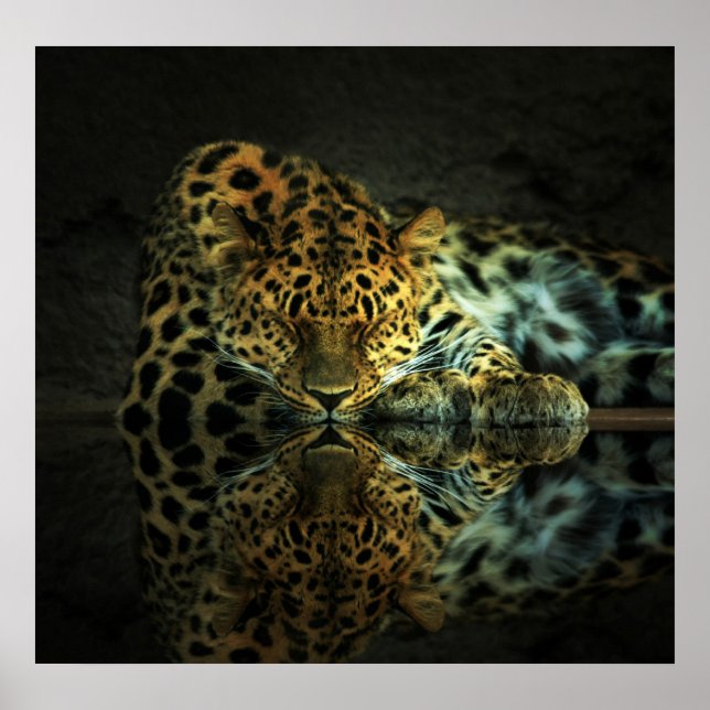 Póster Poster Leopard (Frente)