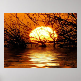 Póster Poster Liquid Sunset