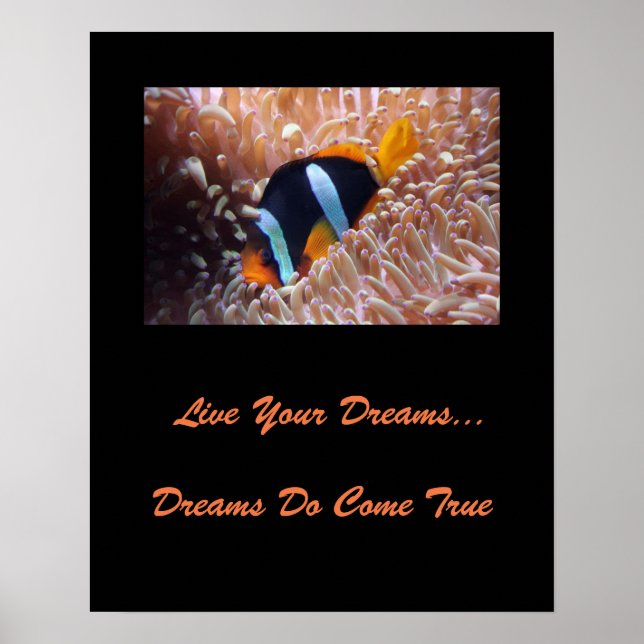 Póster Poster Live Your Dreams (Frente)