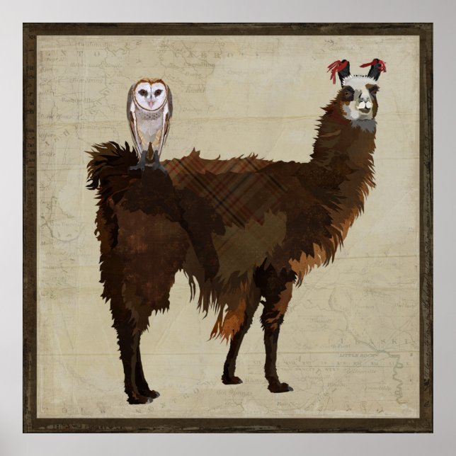 Póster Poster LLAMA & OWL (Frente)