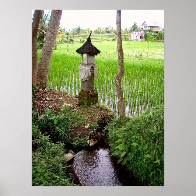 Póster Poster lleno (18" x 24") Campo de arroz Temple Bal (Frente)