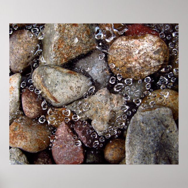 Póster Poster - lluvias caen sobre la telaraña sobre las  (Frente)