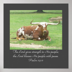 Póster Poster Longhorn 11"x11"