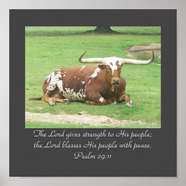 Póster Poster Longhorn 11"x11" (Frente)