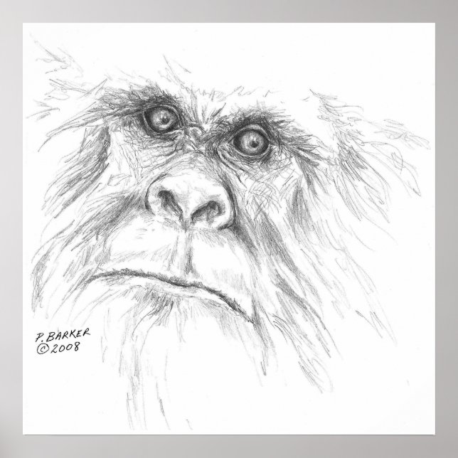 Póster Poster LTB (Frente)