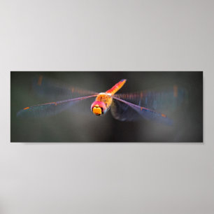 Póster Poster Macro Dragonfly en vuelo