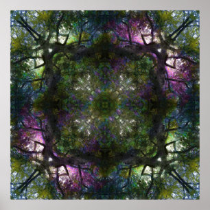 Póster Poster mágico de árbol de 20" x 20"