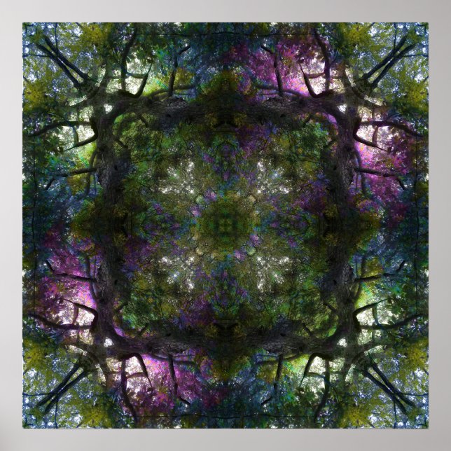 Póster Poster mágico de árbol de 20" x 20" (Frente)