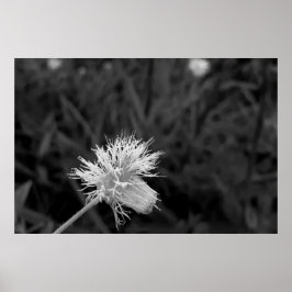 Póster Poster Maria fecha a porta  - danificada