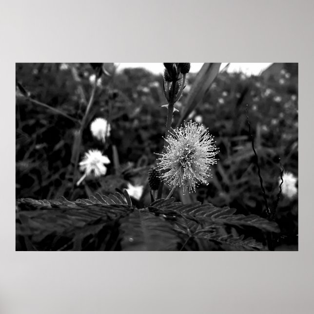 Póster Poster Maria fecha a porta  - dark (Frente)