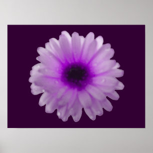 Póster Poster Marigold Blanco y Morado