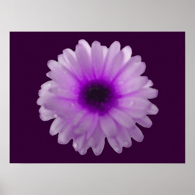 Póster Poster Marigold Blanco y Morado (Frente)