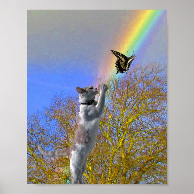 Póster Poster - Mariposa perseguir gato (Frente)