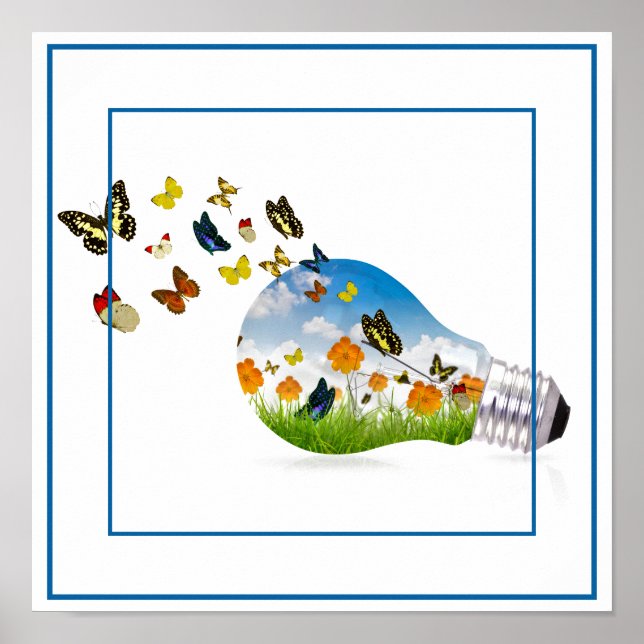 Póster Poster-mariposas 12" x 12" (Frente)
