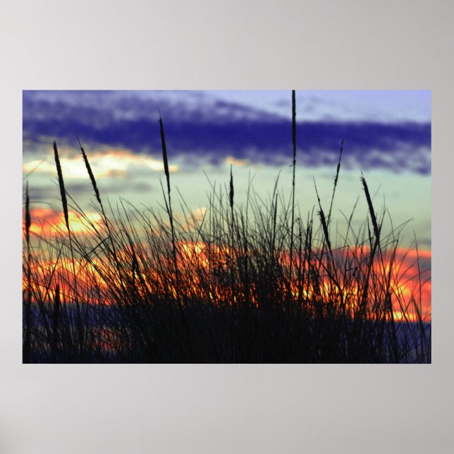Póster Poster Marshland Sunset (Frente)