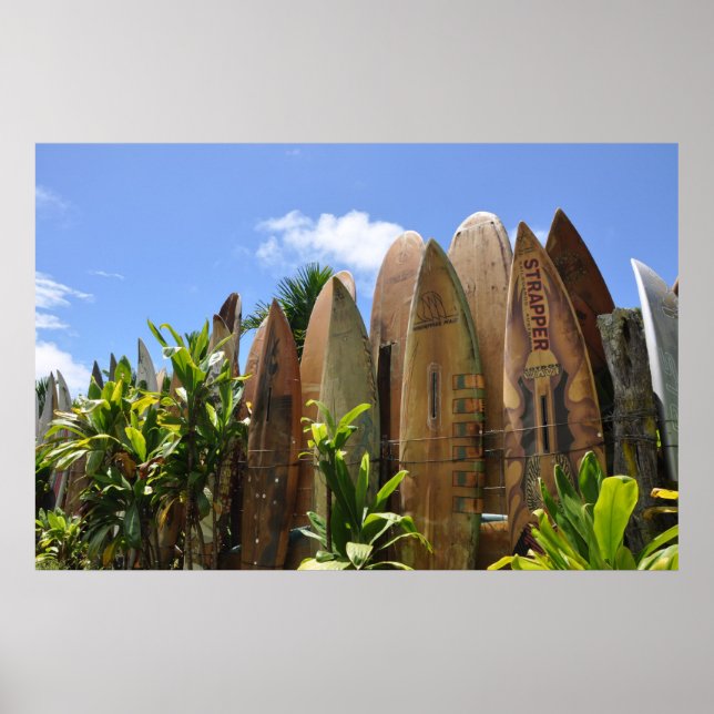 Póster Poster Maui (Frente)