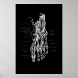 Póster Poster médico de anatomía de pies 24x36"
