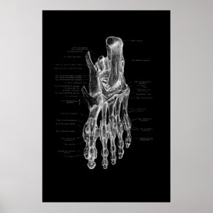 Póster Poster médico de anatomía de pies 24x36"