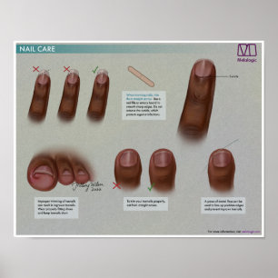 Póster Poster Médico de Atención Primaria Melalógica