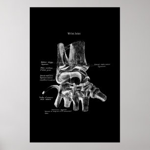 Póster Poster Médico de la anatomía de la muñeca Decoraci