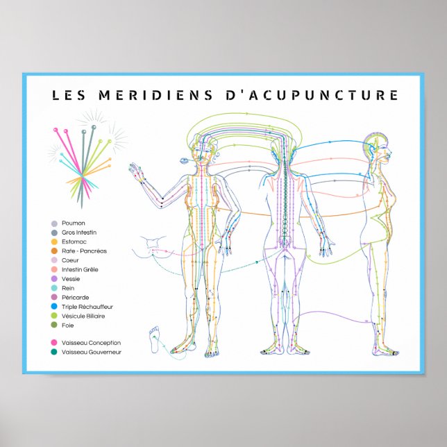 Póster Poster Méridiens d'Acupuncture, médecine chinoise (Frente)