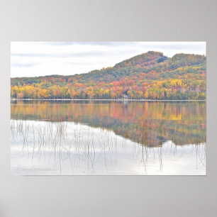 Póster poster "Michigan, en color vivo"