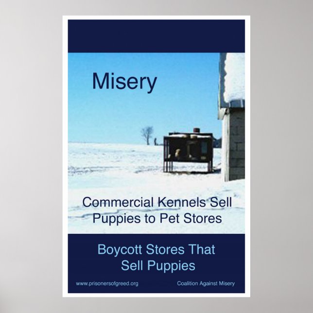 Póster Poster Misery (Frente)
