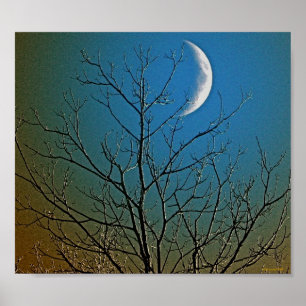 Póster Poster místico del ll de la luna