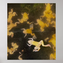 POSTER Mochila foto ciencia ranas nadando