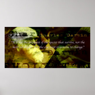 Póster Poster motivacional