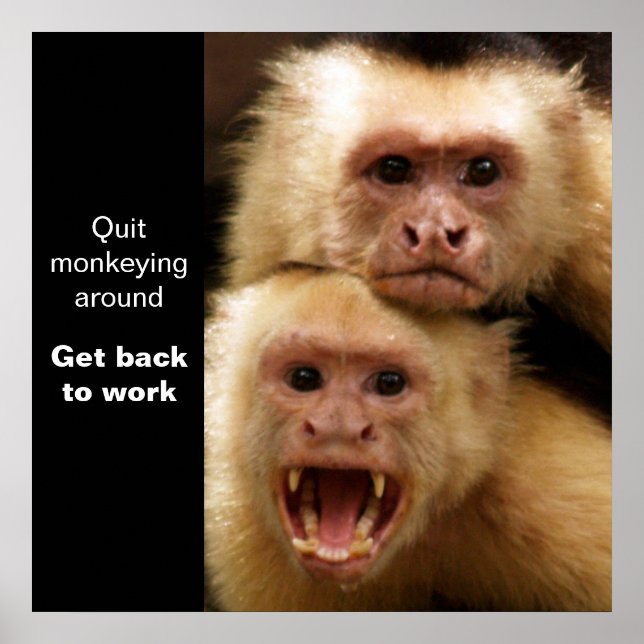 Póster Poster motivacional de dos monos (Frente)