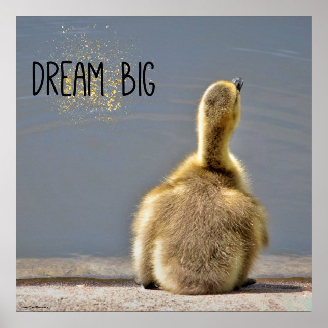Póster Poster Motivacional de Dream Big (Frente)