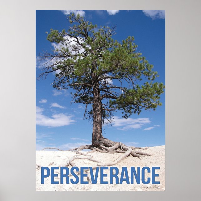Póster Poster motivacional del árbol de perseverancia (Frente)