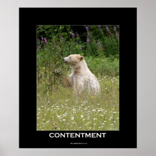 Póster Poster motivacional del oso espiritual