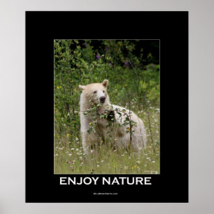Póster Poster motivacional del oso Kermode
