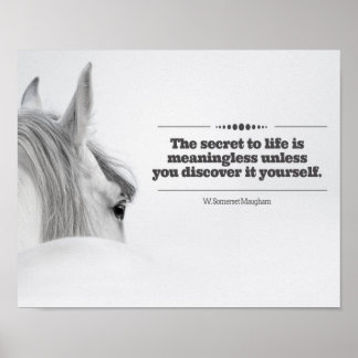 Póster Poster motivacional "El secreto de la vida..."