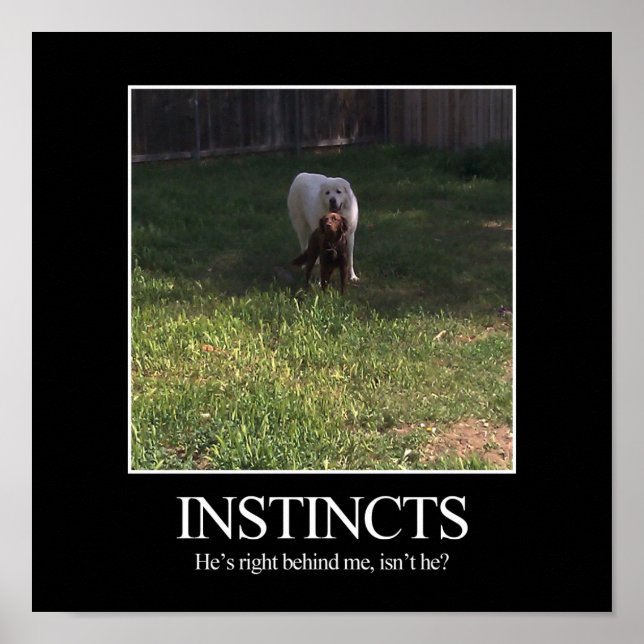 Póster Poster motivacional, INSTINCTS (Frente)