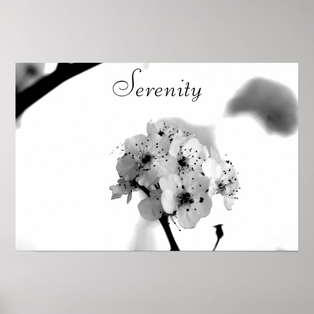 Póster Poster motivacional-serenidad (Frente)