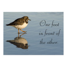 Poster motivador de pájaro de Sandpiper