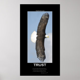 Póster POSTER Motivador del águila calva de CONFIANZA