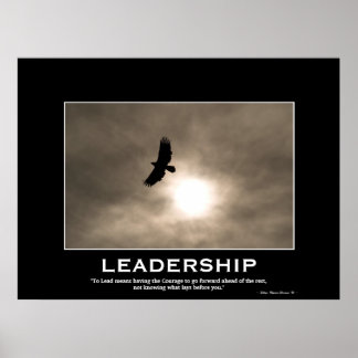Póster Poster Motivador del LIDERAZGO Águila Calva y Sol