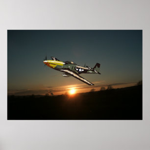 Póster Poster Mustang P51