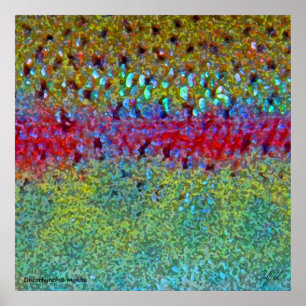 Póster Poster muy grande de la trucha arco iris