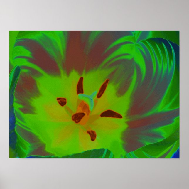 Póster Poster Mystic Green Tulip (Frente)