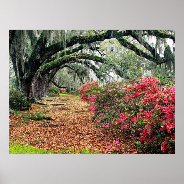 Póster Poster natural (Frente)